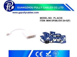 MINI DP(M)-DVI25+5(F) Cable