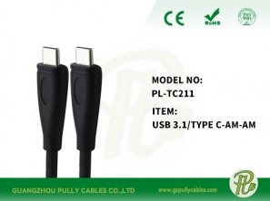 USB 3.1 AM-AM